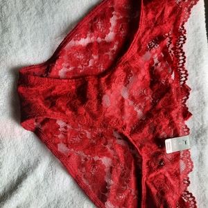 Torrid hipster panties